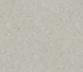 Обои Rasch Trend 974225